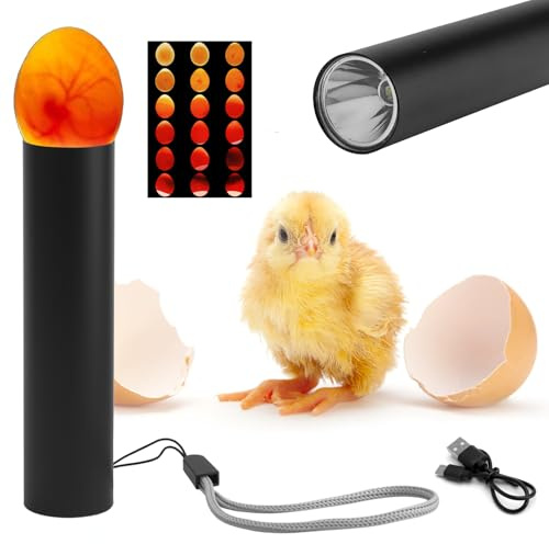 Schierlampe für Hühnereier, Dunkle Eier, LED Eier Kontrollgerät | mit 3 Lichtmodi, USB & Akku, Inkubator Zubehör, zum Beobachten von Wachtel, Hühner, Bruteiern Inkl, Aufbewahrungsbox