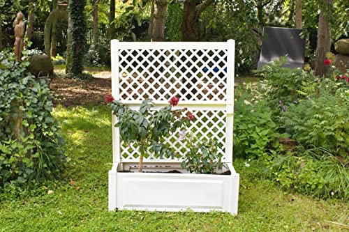 Pflanzkasten groß mit Spalier (2-TLG.) 100 cm, weiß