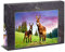 Ulmer Puzzleschmiede - Puzzle „ALM-Esel“ – Klassisches 1000 Teile Tier-Puzzle – Puzzlemotiv zweier Esel auf grüner ALM-Wiese in den bayerischen Alpen - modernes Tier-Portrait als Puzzle