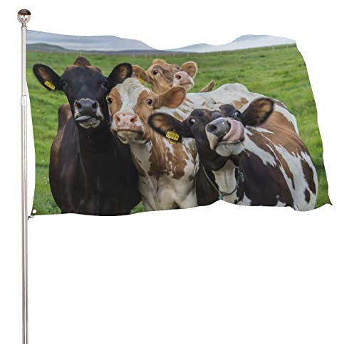 Drapeau de jardin décoratif avec imprimé quatre vaches amusantes, drapeau de la cour, décoration à suspendre 120 x 180 cm