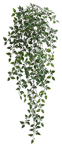 Simulierte Pflanze Green Leaf Wandbehang Rebenfamilie Dekoration Simuliertes grünes Blatt Chlorophytum Vine One 5 Fork Kunstpflanzen Badezimmer (Green, One Size)