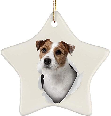 Christmas Xmas Tree Bauble With Ribbon Xmas Ornaments Funny Ceramic Hanging Keepsake Funny Parson Jack Russell Terrier White Fawn Coming Out Of Cracked Wall