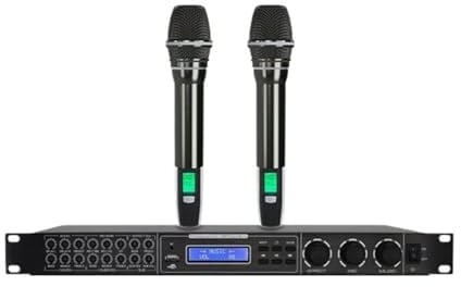 DSP-Audioprozessor, Karaoke-Digitaleffekt-Audioprozessor Mit 2 Dynamischen Mikrofonen For Zuhause/Bühne