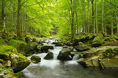 Papier Peint Photo INTISSÉ-CASCADE-400x260 cm-(060AE)-Nature Arbres d'automne Lac Paysage Arbre Forêt Jungle Colle Inclus Mural Décor Motif Poster Géant Stickers Muraux Optique Moderne Fond Effet