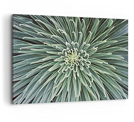 ARTTOR Wandbilder Dekoration Wohnzimmer Agave Grün Pflanze Bilder auf Leinwand 120x80cm Leinwandbild Schlafzimmer Küche Deko Wand Kunstdruck Art Groß XXL Wanddeko Bild Wall Decor Canvas AA120x80-4905