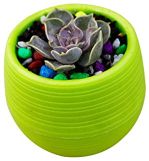 Cabilock Vaso Da Fiori in Resina Piccoli Vasi Per Piante Da Per Decorazioni Floreali Da Ufficio