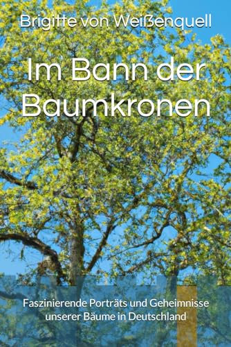 Im Bann der Baumkronen: Faszinierende Porträts und Geheimnisse unserer Bäume in Deutschland
