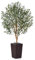 VeriNatural Olivier Artificiel 150cm-Grande Plante Artificielle d'Intérieur et Extérieur, Fausse Arbre avec Pot en Plastique Tressé Marron&Résistant aux UV-Décoration pour Maison,Balcon,VN133