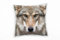 Paul Sinus Art Tiere, braun, Wolf, Portrait Deko Kissen 40x40cm für Couch Sofa Lounge Zierkissen - Dekoration zum Wohlfühlen