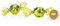 Venchi - Cioccolatini Perla al Pistacchio Salato, 1 Kg, con Pistacchio Intero Croccante in Pasta di Frutta Secca Salata, Senza Glutine, Senza Coloranti e Senza Conservanti