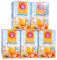 Teekanne frio Pfirisch-Maracuja, 5er Pack