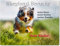 Merchandise for Fans Warnschild - Schild aus Aluminium 20x30cm - Motiv: Australian Shepherd Security (01)