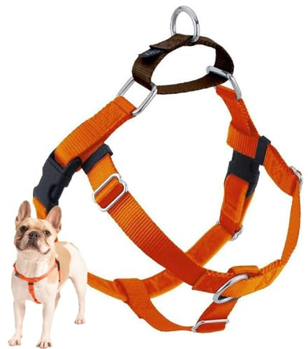 2 Hounds Design Freedom No-Pull No Leash Harness Only, 1-Inch, Large, Rust