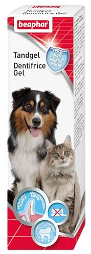 BEAPHAR – Gel dentifrice pour chien et chat – Nettoyage des dents sans brossage ni rinçage – Combat la plaque dentaire, la formation de tartre et la mauvaise haleine – Goût foie – Tube 100 g