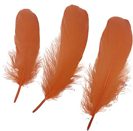 Sowder Natural Goose Feathers Clothing Accessories Pack of 100(Orange)