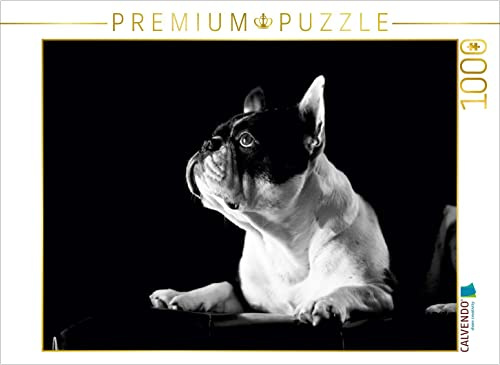 CALVENDO Puzzle Juno - Französische Bulldogge, 4 Jahre | 1000 Teile Lege-Größe 64 x 48 cm Foto-Puzzle für glückliche Stunden