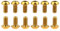 12Pcs Ti Titanium Bolts torx M5x10 Bicycle Bike Disc Brake Cycle Rotor Screws Gr5 (Gold)