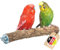 Vogelgaleria® Leckere Korksitzstange Wellensittich Nymphensittich 20cm| Kork Sitzstange mit Korkrinde zum Sitzen und Knabbern | Vogelsitzstange und Vogel Stange für Krallenpflege | Korksitzbrett