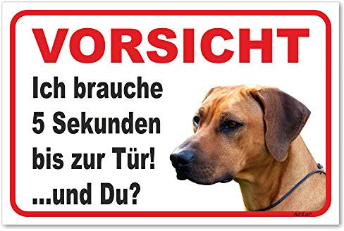 AdriLeo Schild - Vorsicht Rhodesian Ridgeback - 5 Sekunden - (15x20cm) / Achtung Hund Wachhund robust langlebig UV-beständig wetterfestes Warnschild