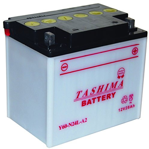 Greenstar 1748 Batterie Y60.N24L.A2