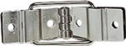 Electrovision