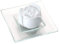 PRIMAVERA Duftstein Rosenblüte auf Glasteller transparent - Keramik, Raumduft, Diffusor - Aromatherapie