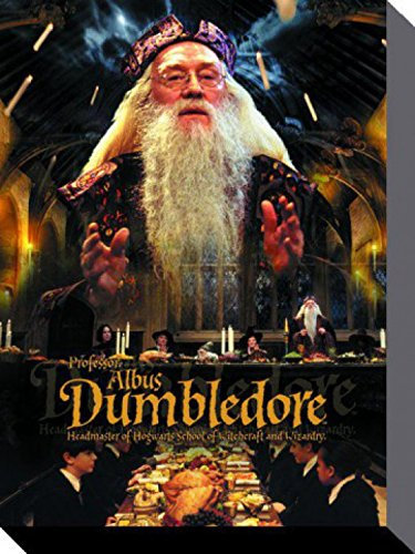 Harry Potter 1art1 Poster Professor Albus Dumbledore Bilder Leinwand-Bild Auf Keilrahmen | XXL-Wandbild Poster Kunstdruck Als Leinwandbild 40x30 cm