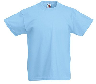 Fruit of the Loom Childrens/Kids Original Short Sleeve T-Shirt (7-8 Years) (Sky Blue)