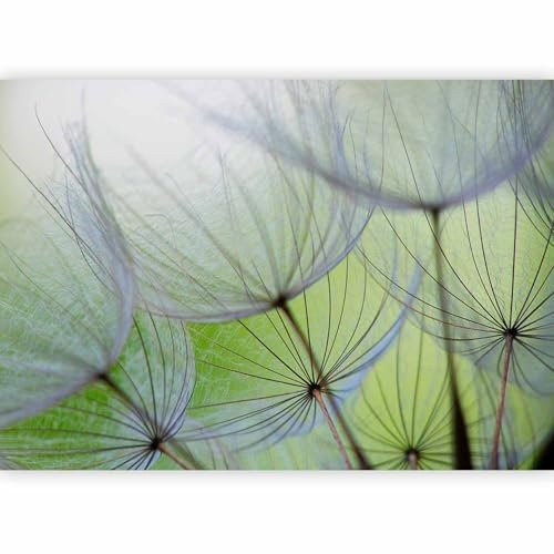 murando - Vlies Fototapete Pusteblume 350x256cm - Foto Tapete Schlafzimmer Wohnzimmer Moderne Vliestapete XXL Wandtapete Motivtapeten 3d Effekt Wand Dekoration - Blumen Natur grün 10110906-71