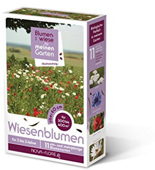 Novaflore - Prairies Fleuries : jachères Fleurs des prés 300 à 600 m2
