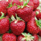 Erdbeere Meraldo®' - Fragaria x ananassa - immertragend, ertragreich, dunkelrot, mittelgroß, süße, saftige Früchte