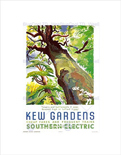 The Art Stop VINTAGE TRAVEL KEW GARDENS SOUTHERN ELECTRIC TREE BIRD FRAMED PRINT B12X11920