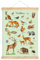 fioniony POSTER 50 x 70 cm WALDTIERE GRÜN UNGERAHMT OHNE HOLZLEISTE Tierposter Lernposter Schulanfang 1. Klasse Kinderposter Kinderzimmer Babyzimmer Wandbild Schule Kindergarten