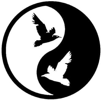 JIFENLI Autoaufkleber 13,4 cm * 13,4 cm Vinyl Aufkleber Yin Yang Symbol Buddhismus Religion Vögel Auto Aufkleber Schwarz/Silber