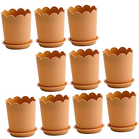 FONDOTIN 10juegos del Festival Luna De Macetas De Plástico para Rosas Contenedor De Plantación para Trasplantar Plantas De Macetas De para Jardín