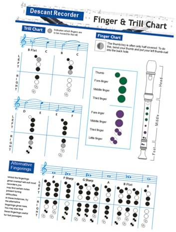 Nützliche Klarinetten Grifftabelle für Anfänger und Profis mit Noten | Beschichtetes Papier, Klare Druckqualität und Feine Details, Praktisch zum Üben, Tragbar für Alltag