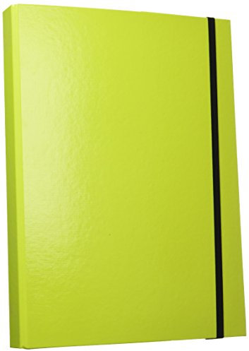 AULFES Sammelbox A4 TREND lime/21308-75