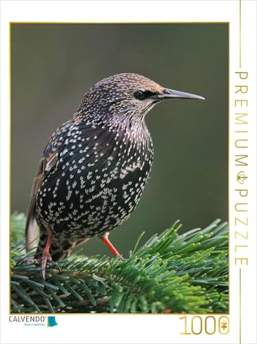 CALVENDO Puzzle Star | 1000 Teile Lege-Größe 48 x 64 cm Foto-Puzzle für glückliche Stunden