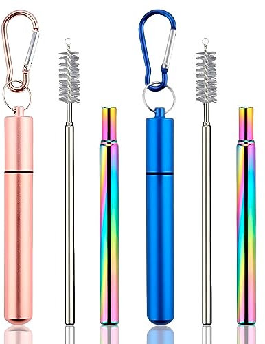 2 PCS Travel Straw, Reusable Straw, Reusable Straws with Key-Ring Case, Telescopic Straw with Cleaning Brush, Portable Reusable Drinking Straw for Travel Home Office