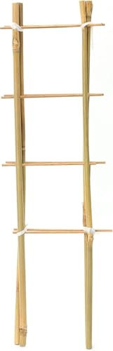 Natural Eco-Friendly Bamboo Cane Plant Pot Ladder Trellis Outdoor Garden Planter Climbing Plant Support Frame Stake Stick Pole (86cm, 1)