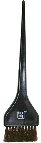 Pro-Tip Tinting Hairbrush, Black,Small