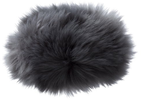 Olympus WJ-4 Bonnette anti-vent pour Dictaphone LS-100