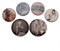 GB Eye Buttons von Ariana Grande, bunt, 6 Stück