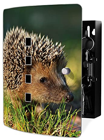 banjado Design Schlüsselkasten aus Edelstahl für 10 Schlüssel/Schlüsselbox zur Schlüsselaufbewahrung 24 x 21,5 x 7cm groß mit praktischem Magnetverschluss/Motiv Bruno