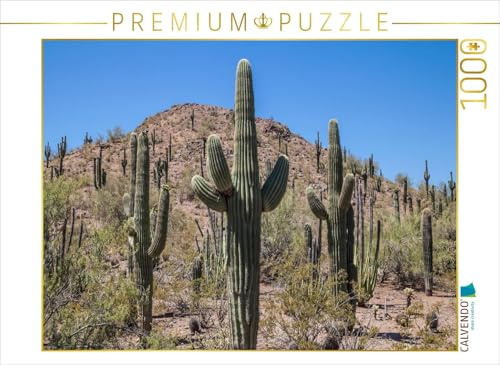 CALVENDO Puzzle Arizona Sonora Wüste | 1000 Teile Lege-Größe 64 x 48 cm Foto-Puzzle für glückliche Stunden