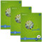 Staufen Green Collegeblock - DIN A4, Lineatur 28 (kariert mit Randlinien), 80 Blatt, 4-fach Lochung, premiumweißes 90g/m² Recyclingpapier, 3 Stück