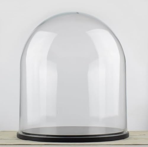 EMH Cloche en verre avec socle en bois noir 40 x 35,5 cm