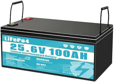 Wiederaufladbare Batterien,LiFePO4 Akku 24V 100Ah Lithium Eisenphosphat Akku,ausgestattet mit 100A BMS,Lebensdauer über 8 Jahre, geeignet für Camping, Notstromversorgung usw.
