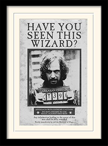 Pyramid International Harry Potter Druck Sirius Wanted, 30 x 40 cm, aufgezogen und gerahmt