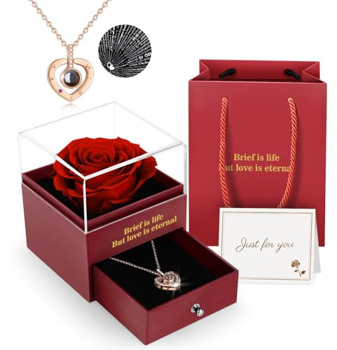 ADAZ Ewige Rose Geschenkbox mit Kette,Eternal Rose, Unendliche Rosen, Valentinstag Muttertagsgeschenk Weihnachtsgeschenke Liebesgeschenke Hochzeitstag Geschenk für Sie Frauen Freundin Women